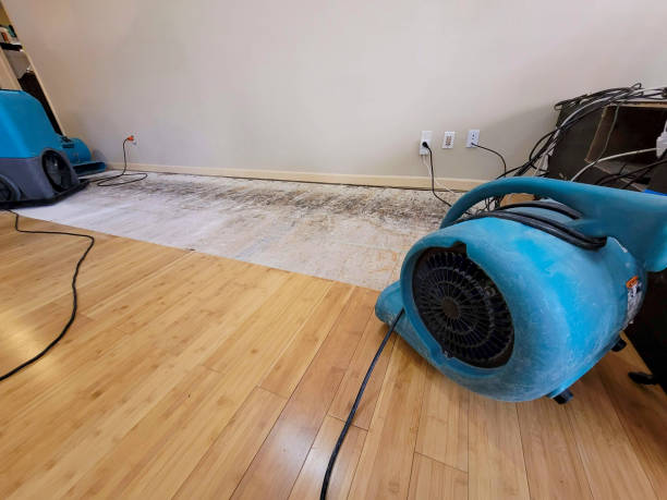 Professional Water Removal technician working in Climax, MI